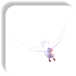 Character Image